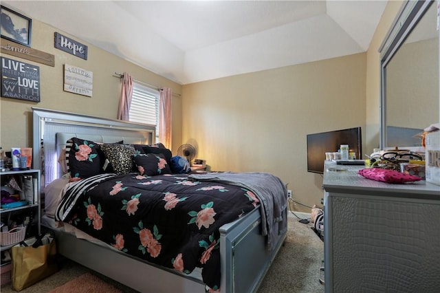 carpeted bedroom featuring a tray ceiling