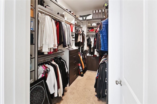 spacious closet with carpet