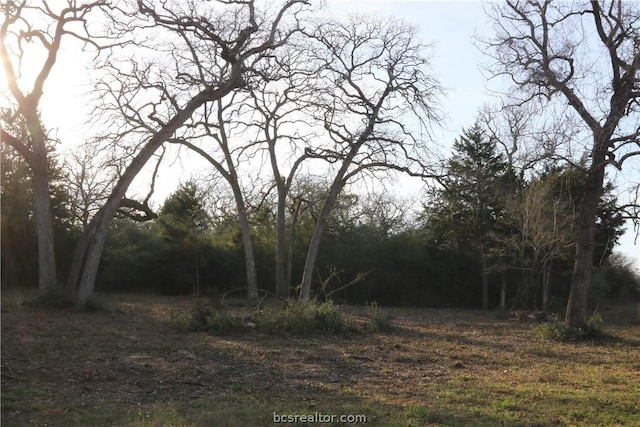 Listing photo 3 for TBD Tonkawa E, Normangee TX 77871