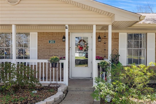 view of exterior entry with a porch and brick siding