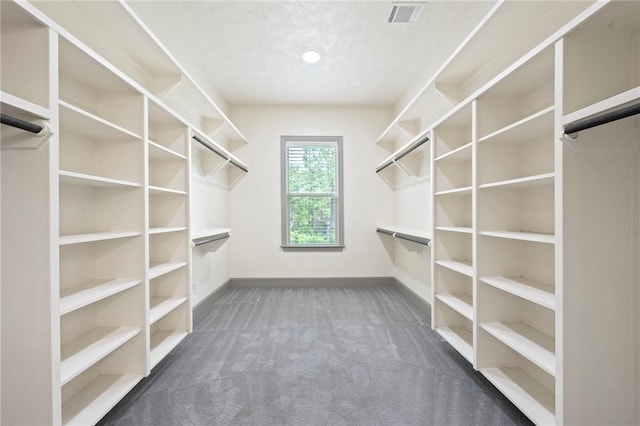 5217 Ruddy Duck Dr, College Station, TX 77845 - spacious closet with dark colored carpet