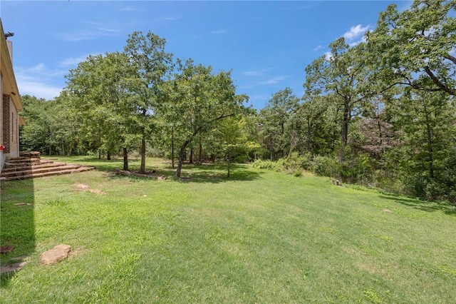 5217 Ruddy Duck Dr, College Station, TX 77845 - view of grassy yard