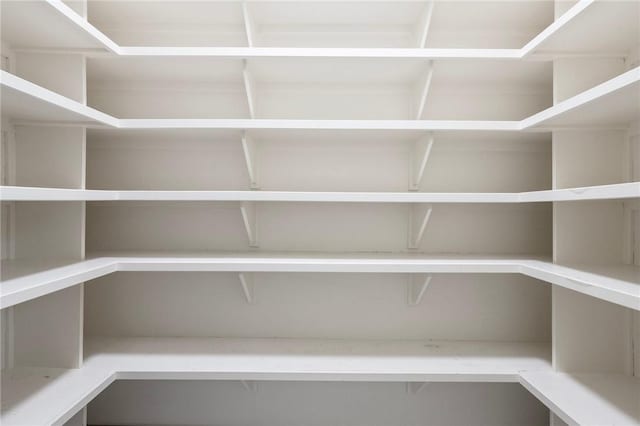 5217 Ruddy Duck Dr, College Station, TX 77845 - view of pantry