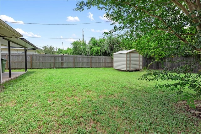 view of yard with a shed