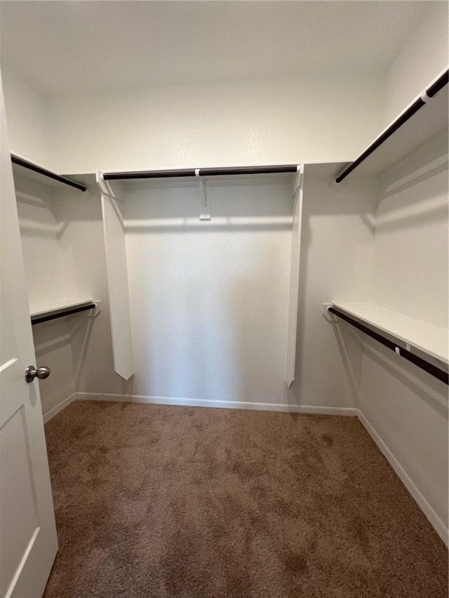 spacious closet with carpet