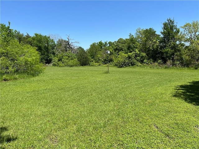 1100 Maple, Calvert, TX 77837 - view of local wilderness