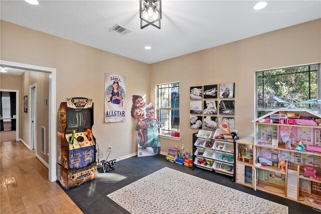 game room featuring hardwood / wood-style floors and a healthy amount of sunlight