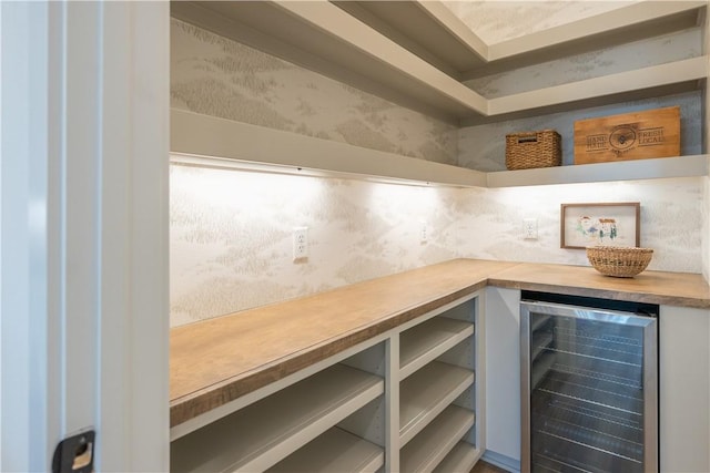 pantry with wine cooler