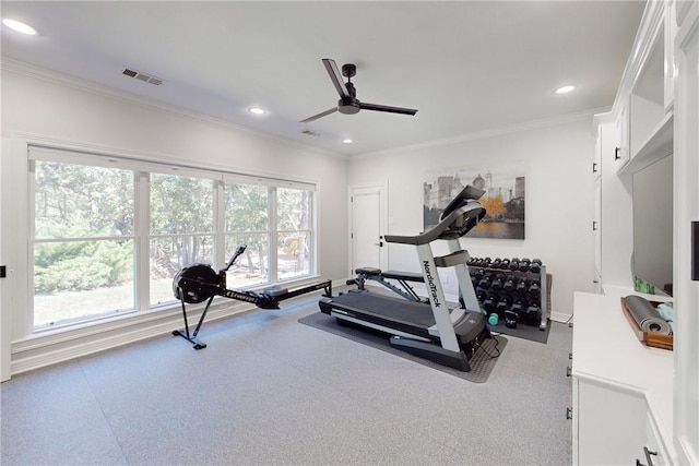 exercise room with crown molding and ceiling fan