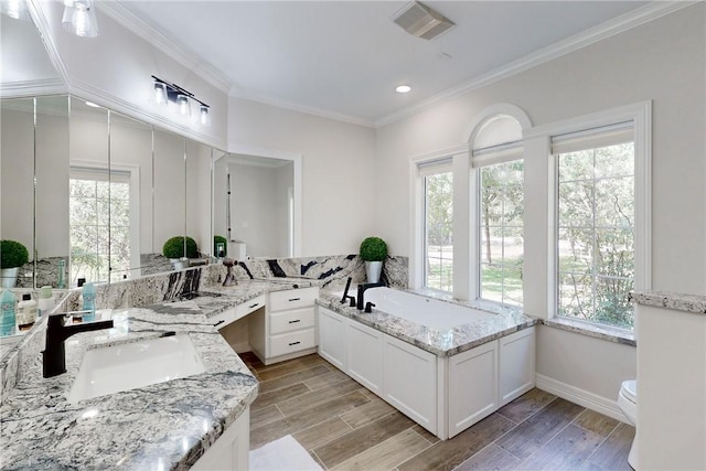 bathroom featuring a bathing tub, vanity, and ornamental molding