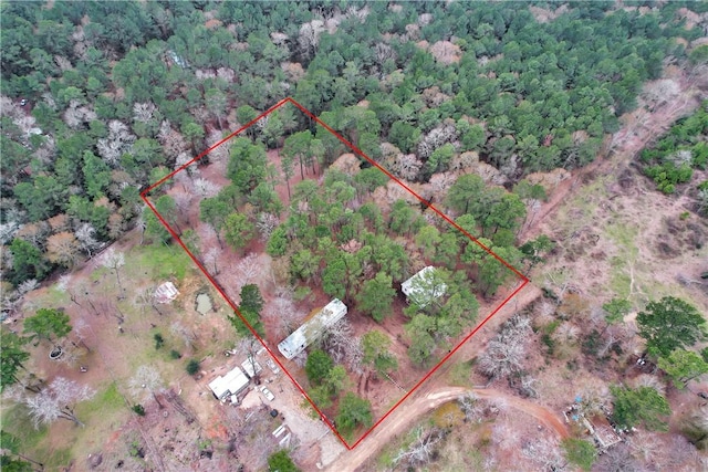 4794 Tall Pine Rd, Navasota, TX 77868 - view of property location featuring property parcel outlined