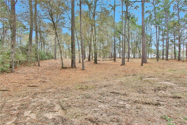 4794 Tall Pine Rd, Navasota, TX 77868 - view of yard