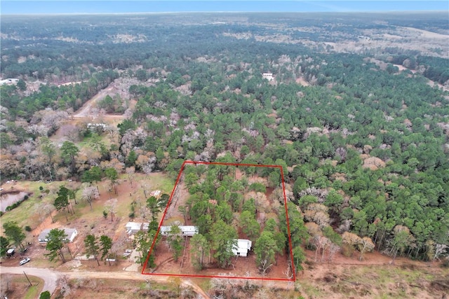 4794 Tall Pine Rd, Navasota, TX 77868 - view of property location featuring property parcel outlined