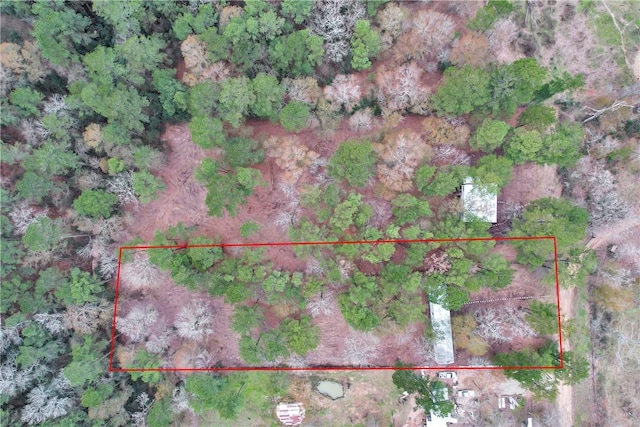 4794 Tall Pine Rd, Navasota, TX 77868 - aerial view of property and surrounding area with property boundaries highlighted