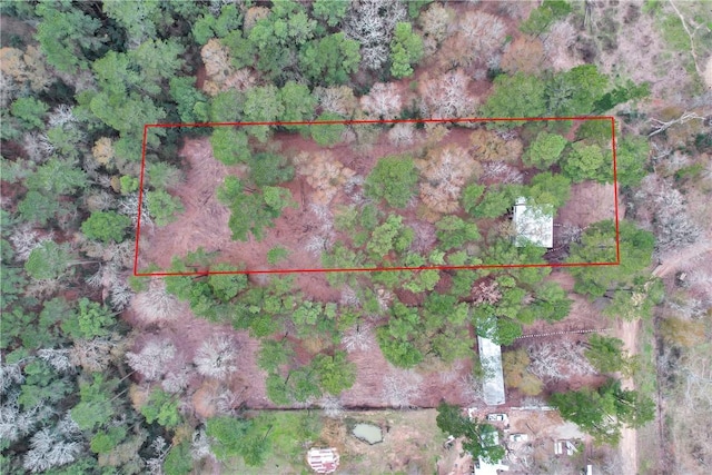 4794 Tall Pine Rd, Navasota, TX 77868 - aerial view of property and surrounding area featuring property parcel outlined