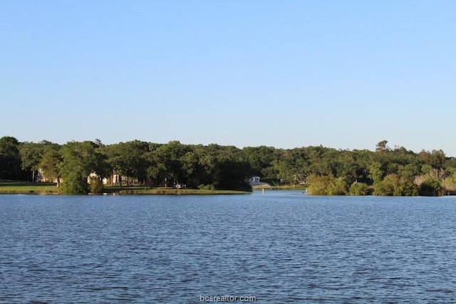 property view of water featuring a forest view