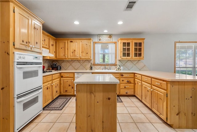 kitchen with a peninsula, plenty of natural light, a sink, and white appliances