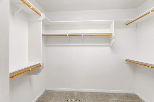 spacious closet with light colored carpet