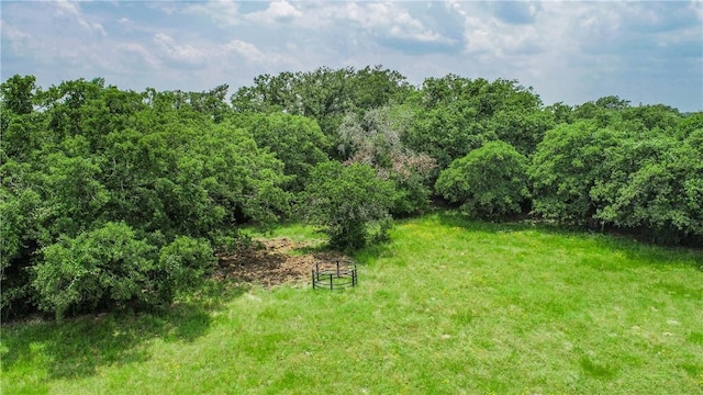 Listing photo 3 for LOT29 Legacy Rd, Somerville TX 77879