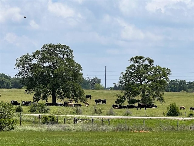 view of landscape with a rural view