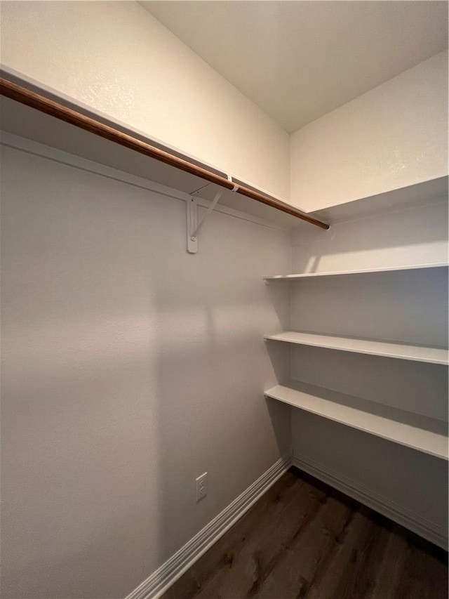 walk in closet featuring dark wood-type flooring