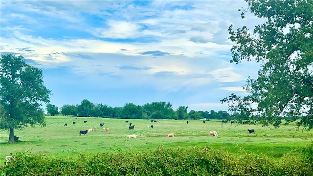 view of nature with a rural view