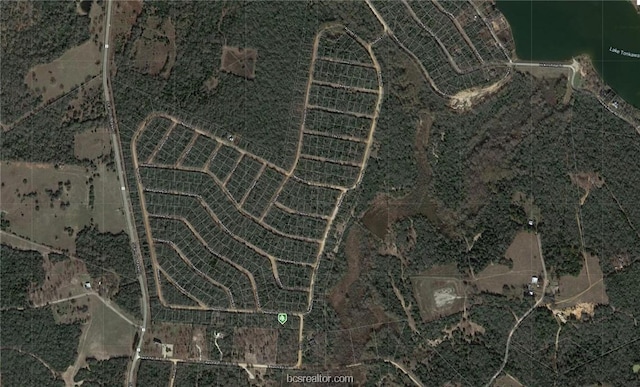 Listing photo 2 for LOT41 Navarro Dr, Hilltop Lakes TX 77871