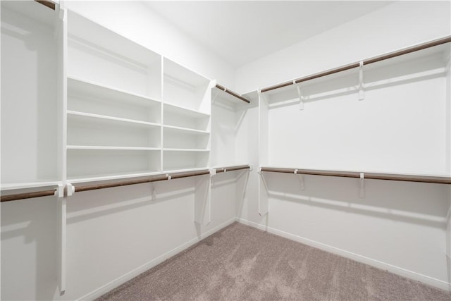 spacious closet with light carpet