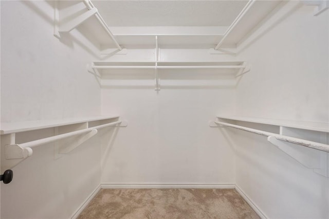 spacious closet with light colored carpet