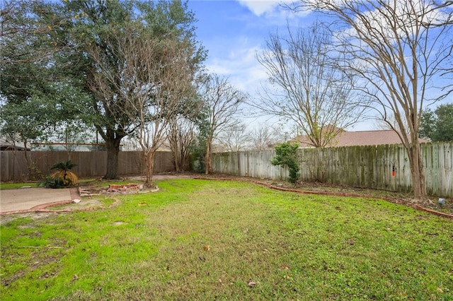 view of yard featuring a patio area