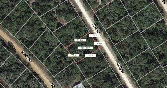 LOT19 Holly Ln, Hilltop Lakes TX, 77871 land for sale