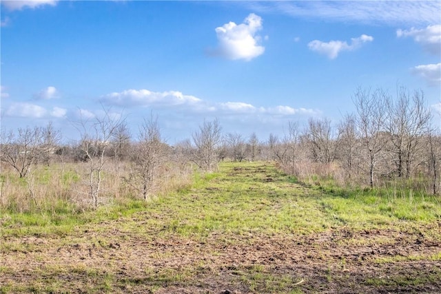 10440 County Road 276, Snook TX, 77879 land for sale