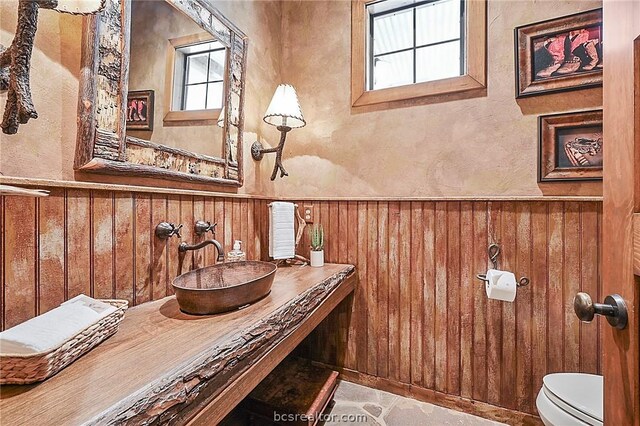 bathroom with toilet, a wealth of natural light, wooden walls, and sink