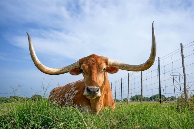S10ACRES Fm 2621, Brenham, TX 77833