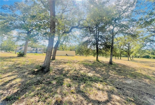 1059 Daisy Ln, Caldwell, TX 77836 - photo 16