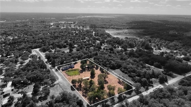 1059 Daisy Ln, Caldwell, TX 77836 - photo 19