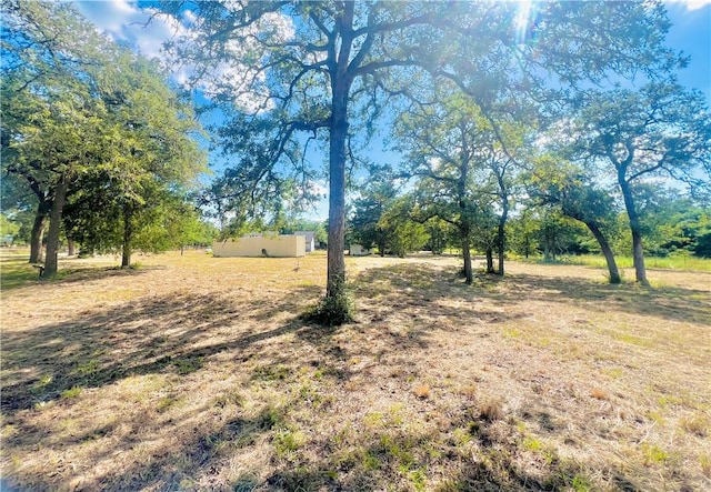 1059 Daisy Ln, Caldwell, TX 77836 - photo 17