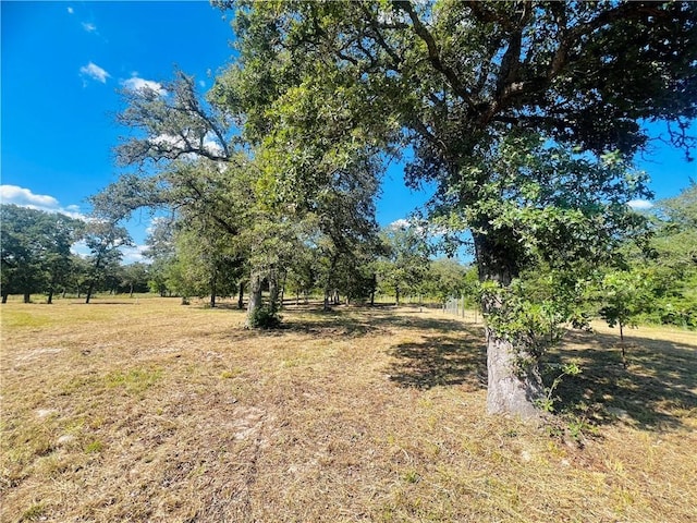 1059 Daisy Ln, Caldwell, TX 77836 - photo 15