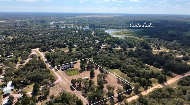 1059 Daisy Ln, Caldwell, TX 77836 - photo 3
