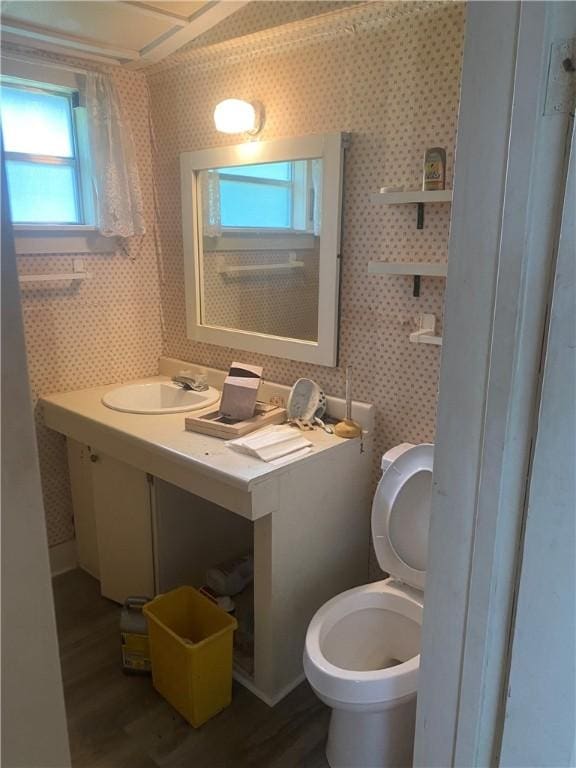 5225 Colorado St, Richards, TX 77873 - half bathroom featuring vanity, wood finished floors, and wallpapered walls