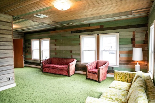 400 N Brazos St, Burton, TX 77835 - living area with wooden walls, wood ceiling, and carpet