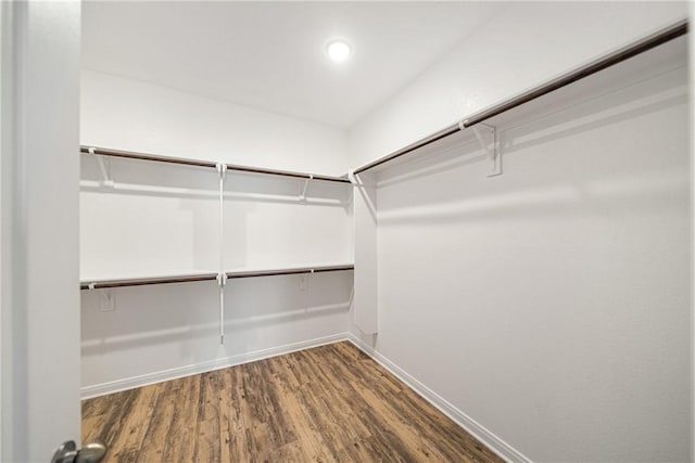 walk in closet with wood-type flooring