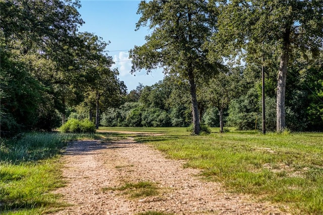 view of street featuring a view of trees