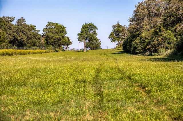 view of nature