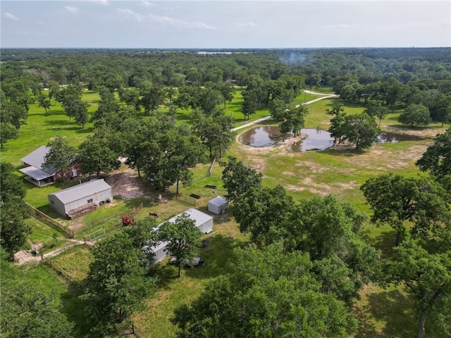 4988 Paso Fino Ln, Madisonville, TX 77864 - bird's eye view of a large body of water and a heavily wooded area
