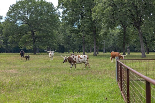 4988 Paso Fino Ln, Madisonville, TX 77864 - view of yard featuring fence and a view of rural / pastoral area