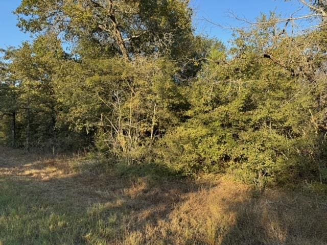 3387 Beaver Creek Rd, Caldwell, TX 77836