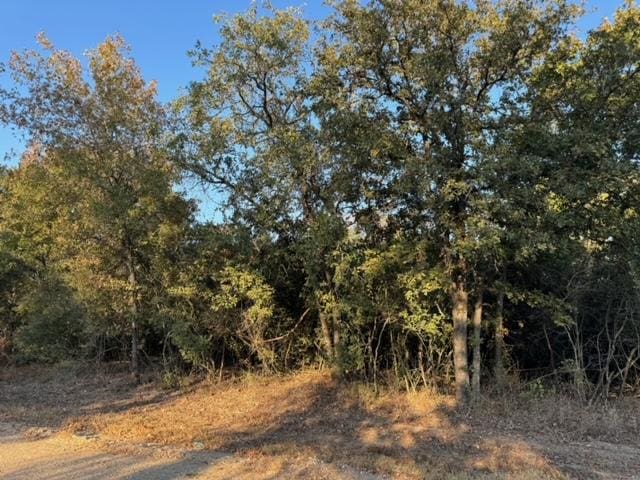 3387 Beaver Creek Rd, Caldwell, TX 77836