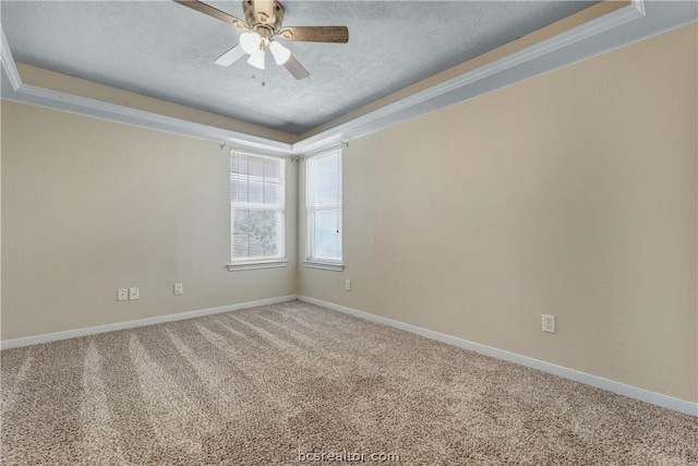 empty room featuring carpet floors, a tray ceiling, and crown molding