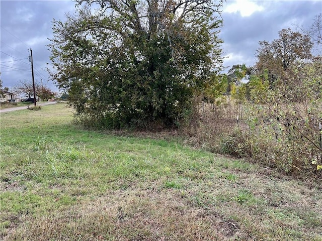 808 W Boundary St, Giddings, TX 78942 - view of yard